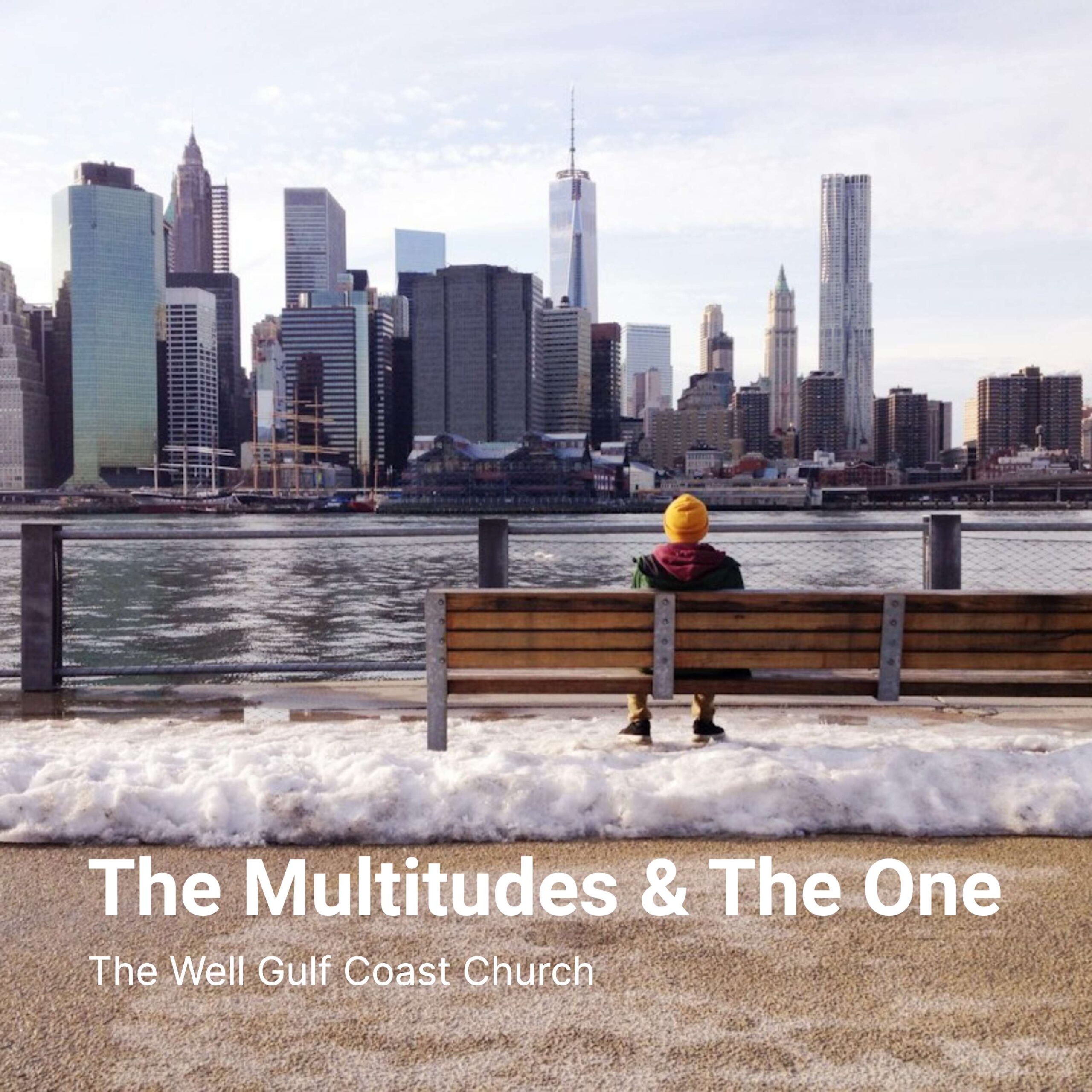 The Multitudes & The One