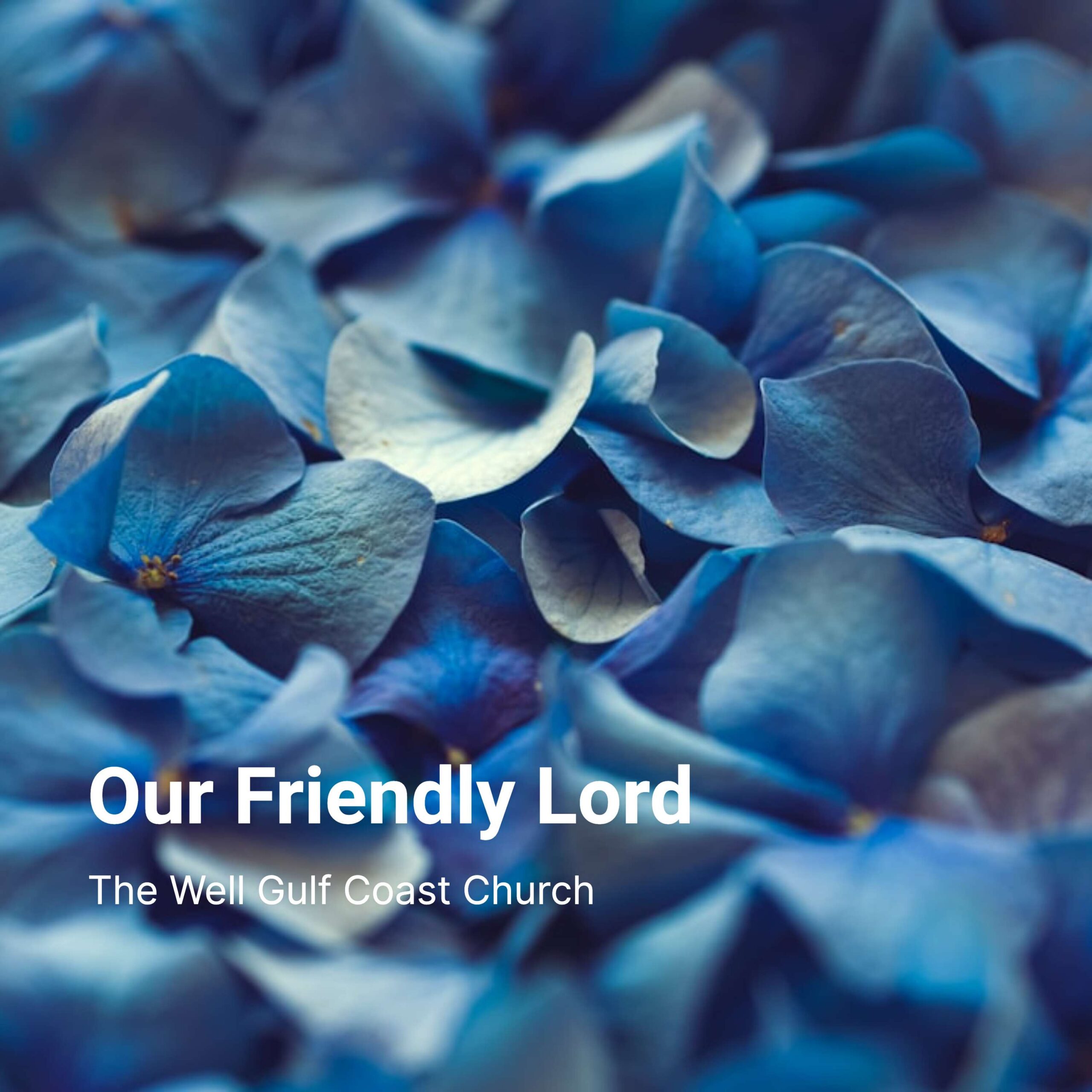 Our Friendly Lord