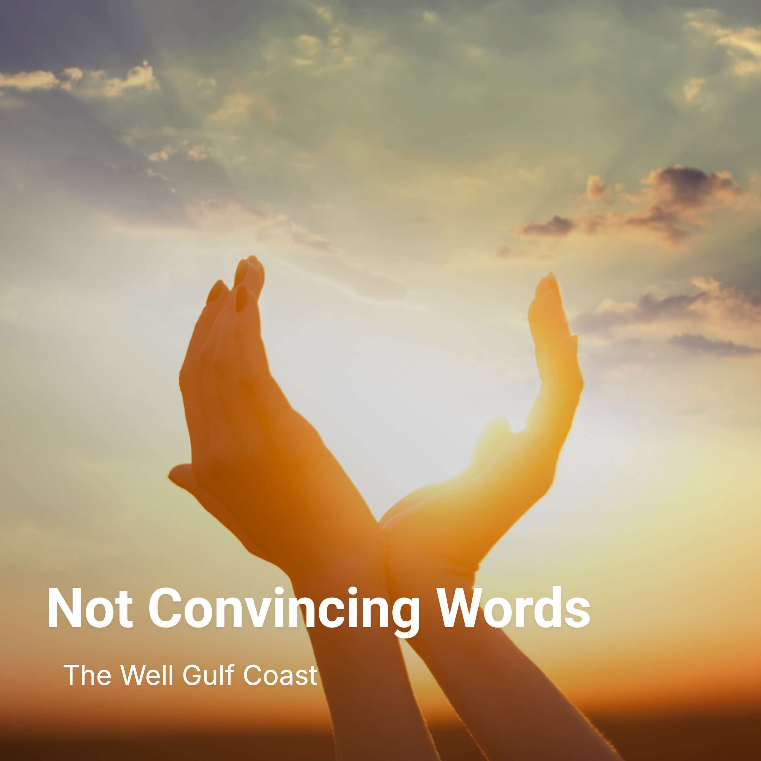 Not Convincing Words