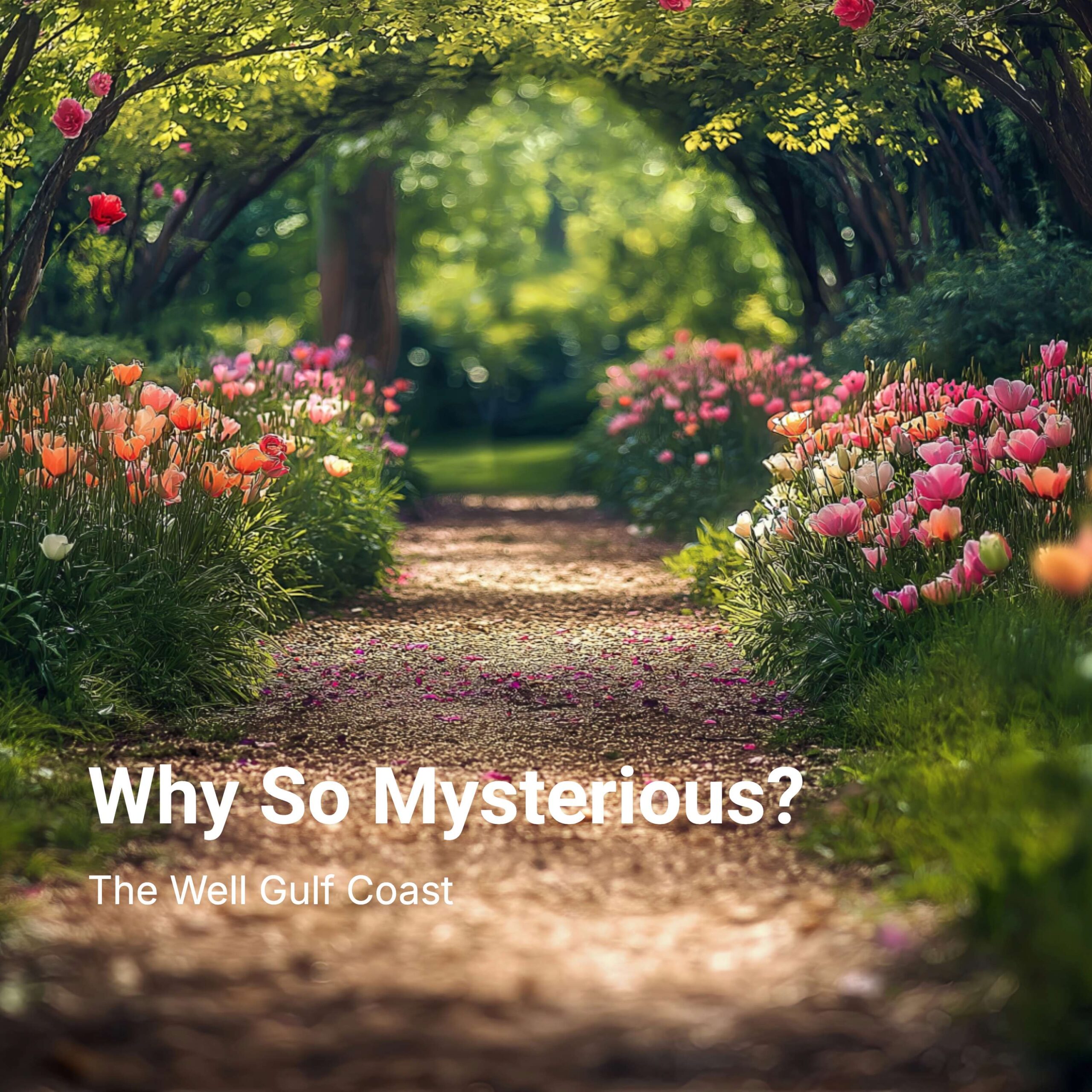 Why So Mysterious?
