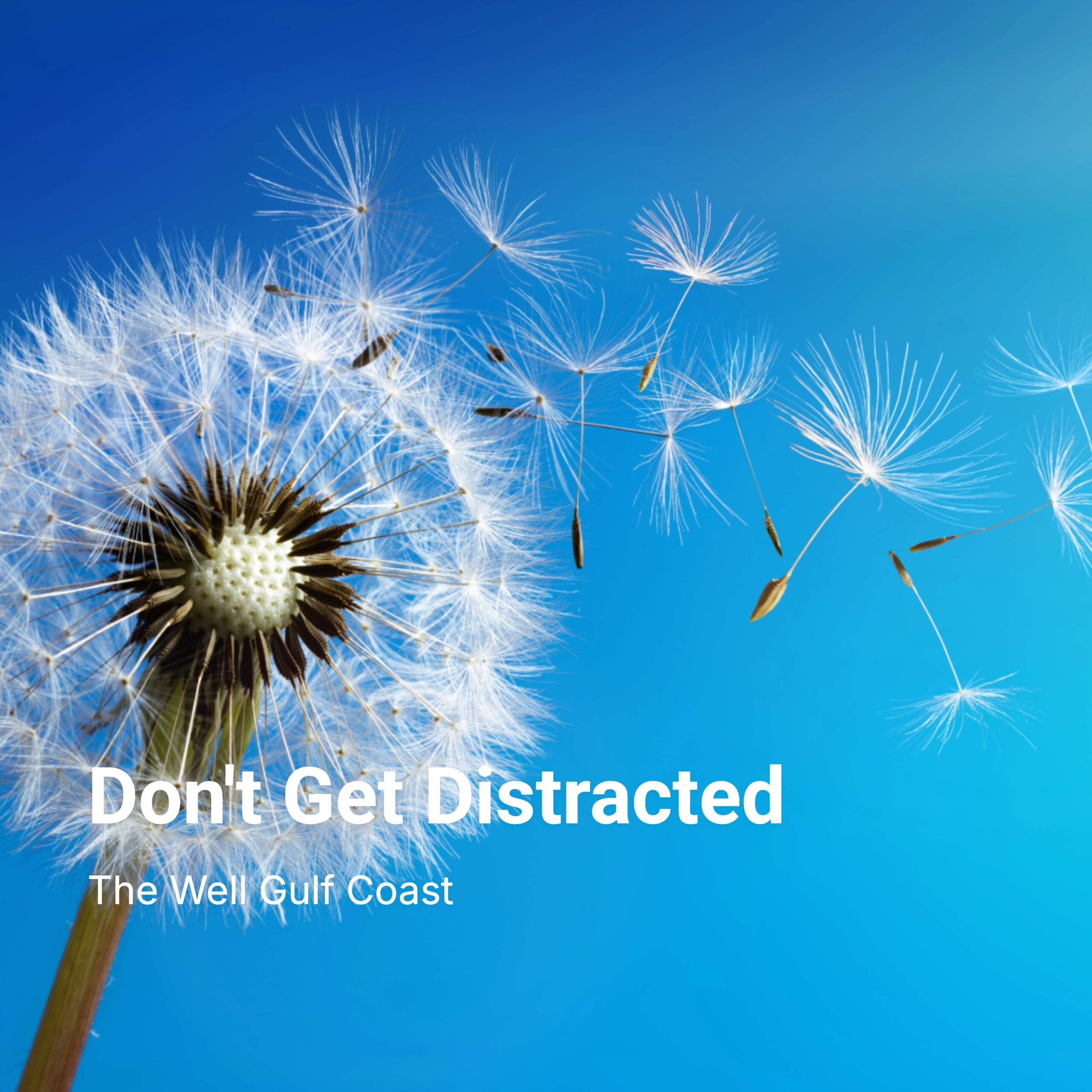 Don’t Get Distracted
