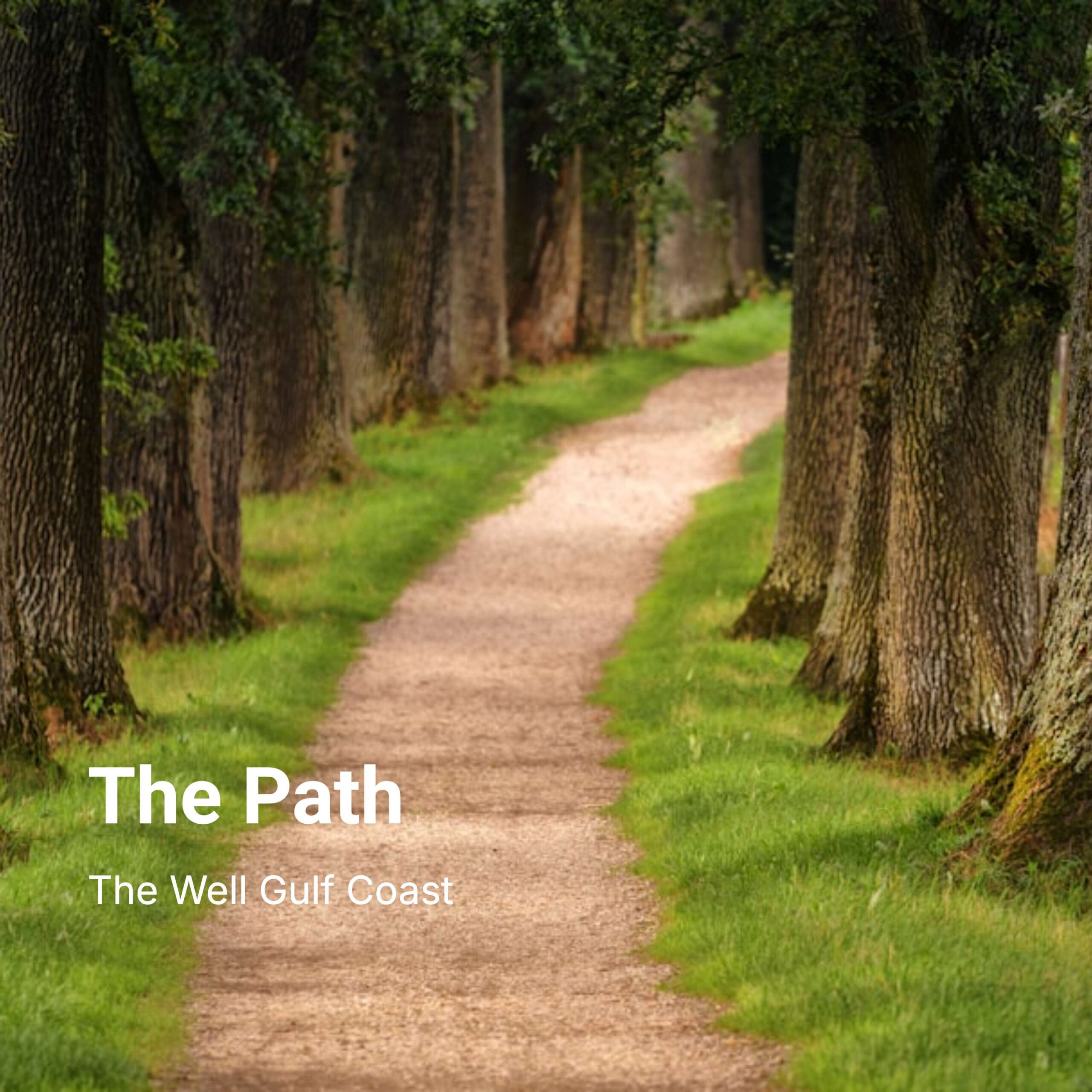 The Path episode artwork
